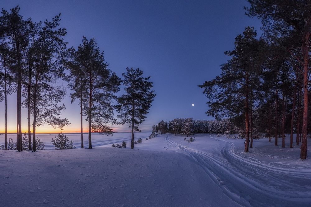 Однажды утром