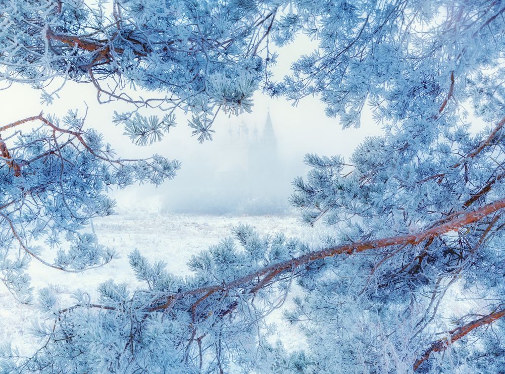 Зимняя сказка