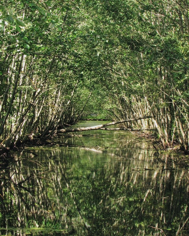 Photograph by Карина Хаустова