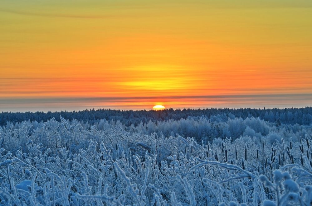 морозный рассвет
