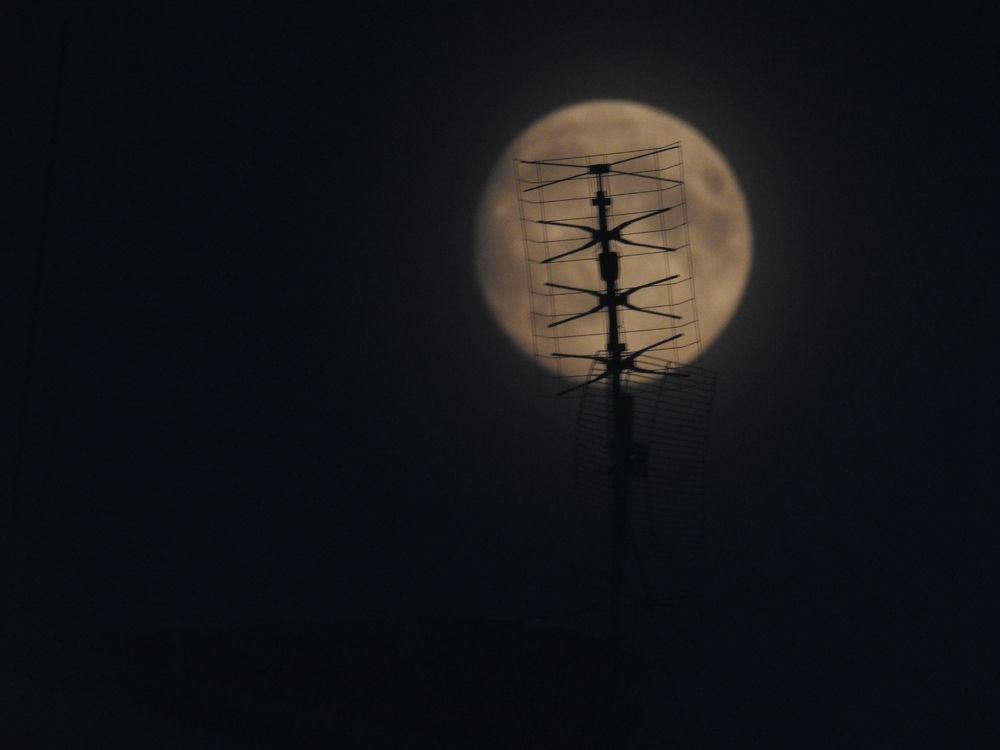 Photograph by Олександр Максимюк