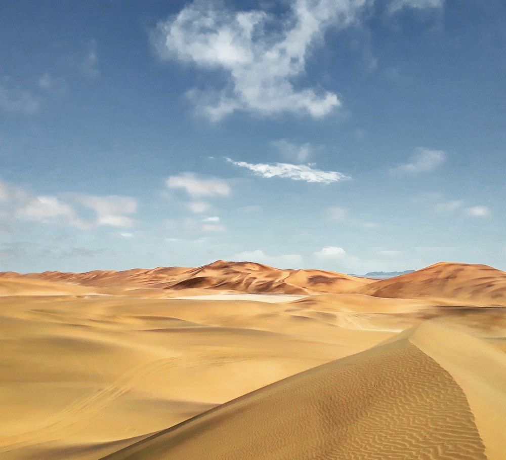 Namibia desert.