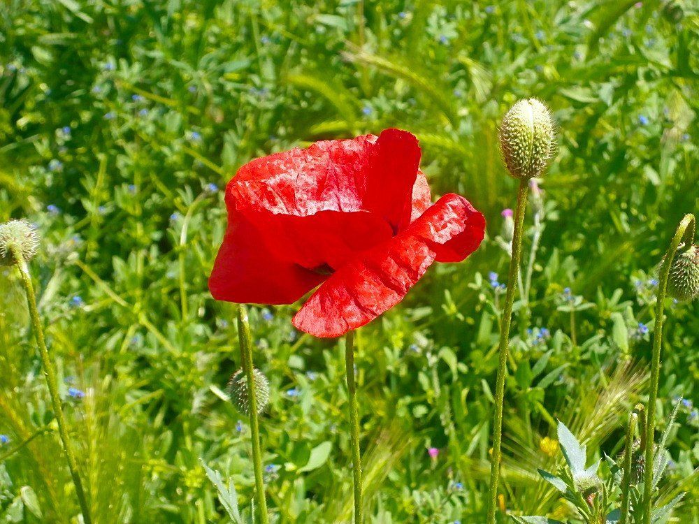 Photograph by Антон