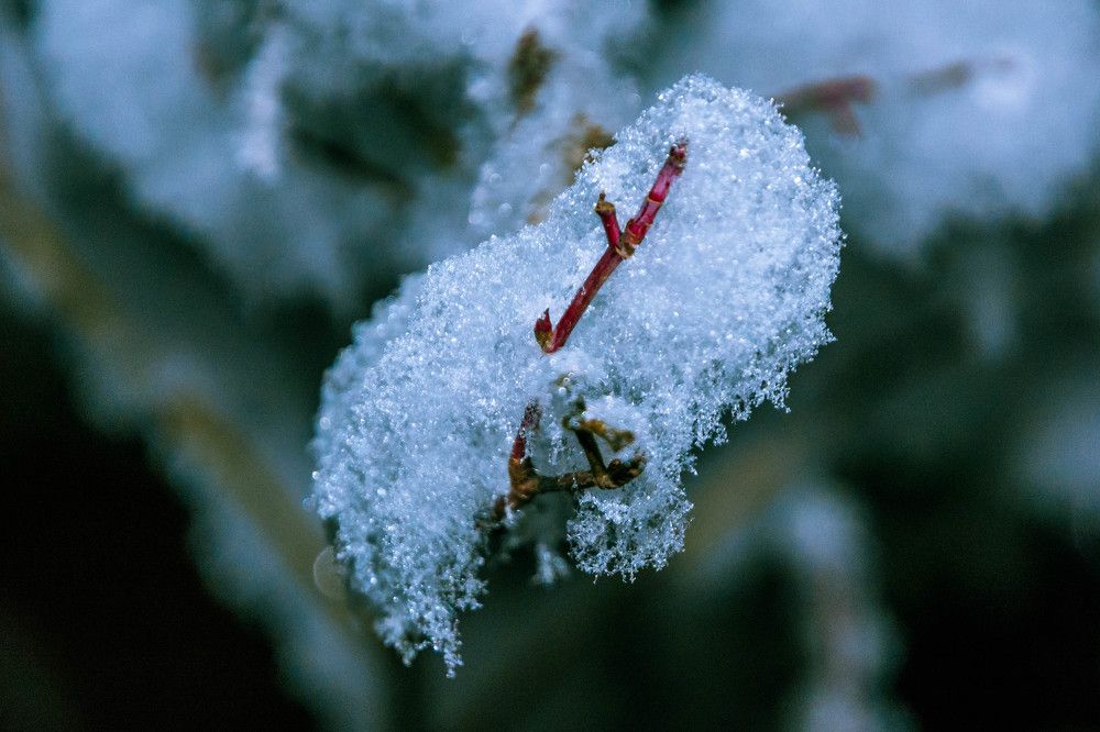 Первый снег