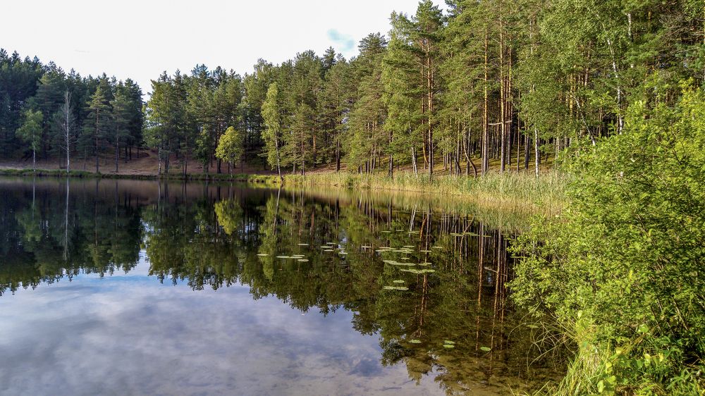 Псковские озёра