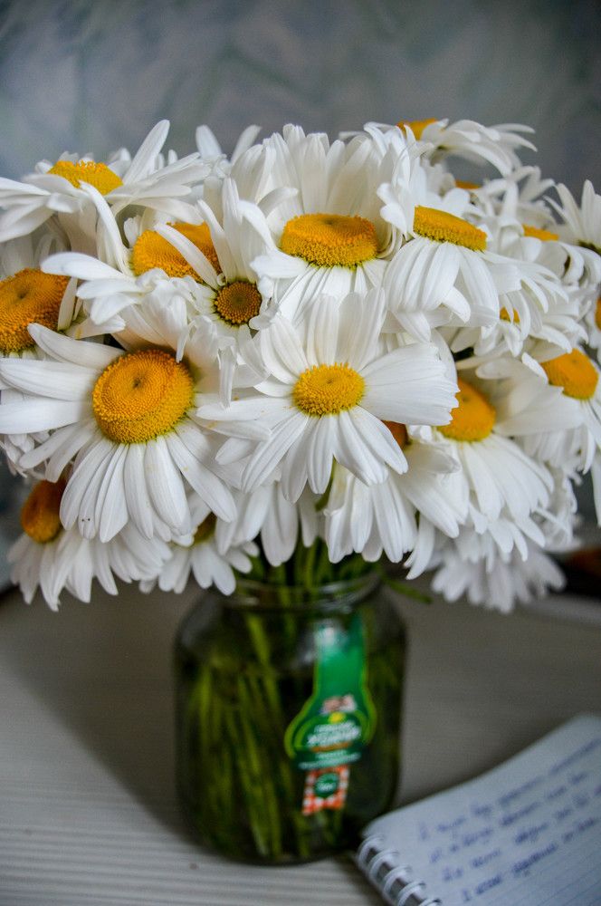 Photograph by Татьяна Жиркина