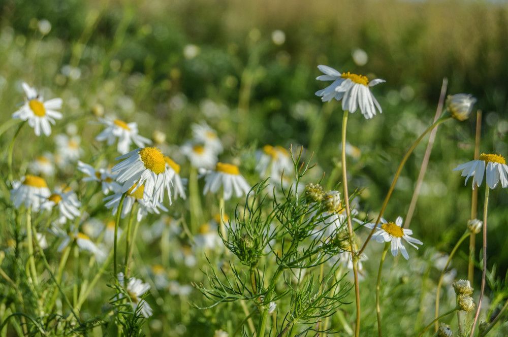 Photograph by Татьяна Жиркина