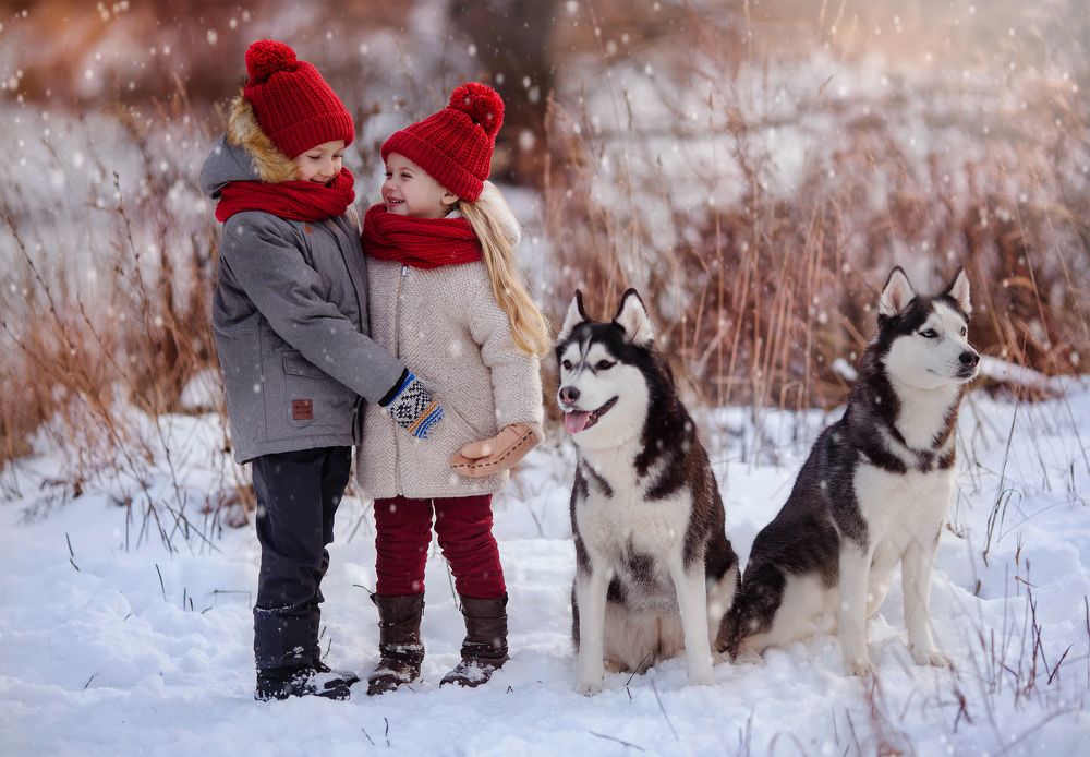 Photograph by Мария Демидова