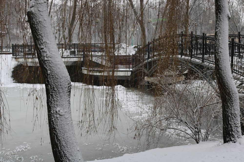 Photograph by Татьяна