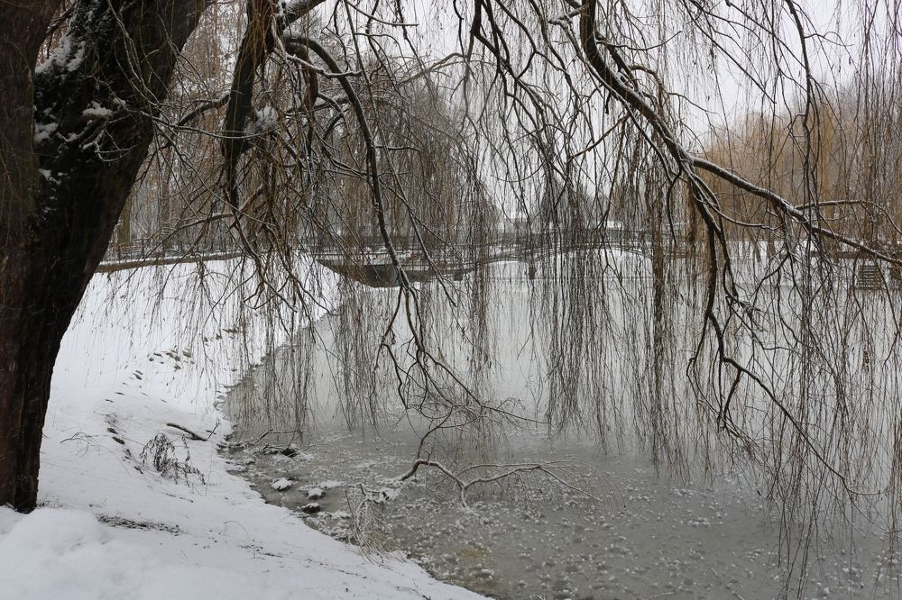 Photograph by Татьяна