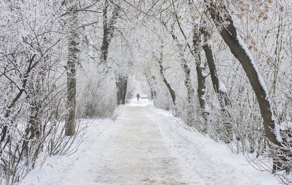 Photograph by Татьяна Жиркина