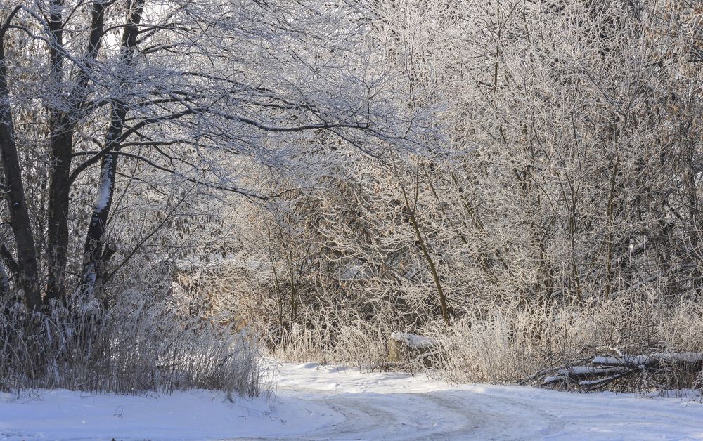 Photograph by Татьяна Жиркина