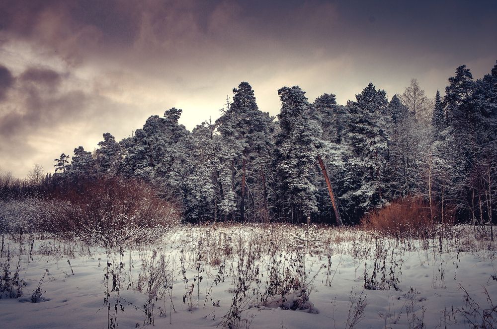 Photograph by Сергей Забиякин