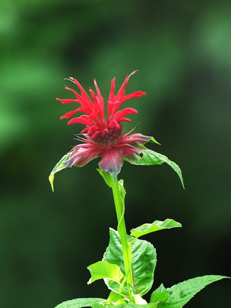 Photograph by Владимир