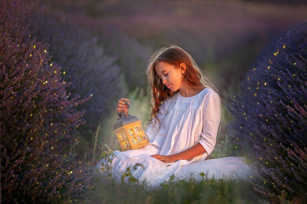 Лавандовые сны