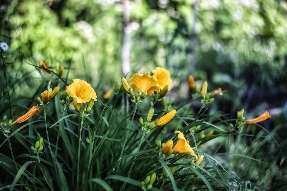 Photograph by Антон Кривошейцев