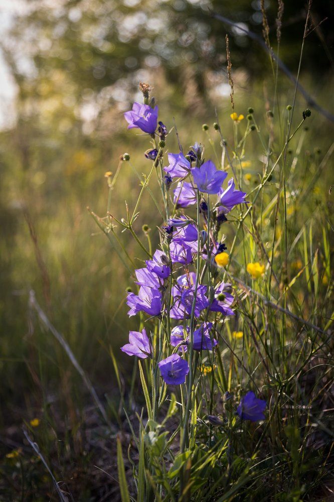 Photograph by Антон Кривошейцев