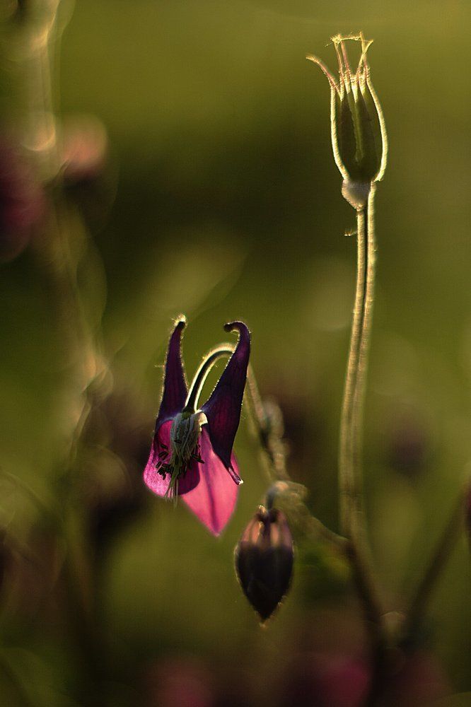 На закате дня