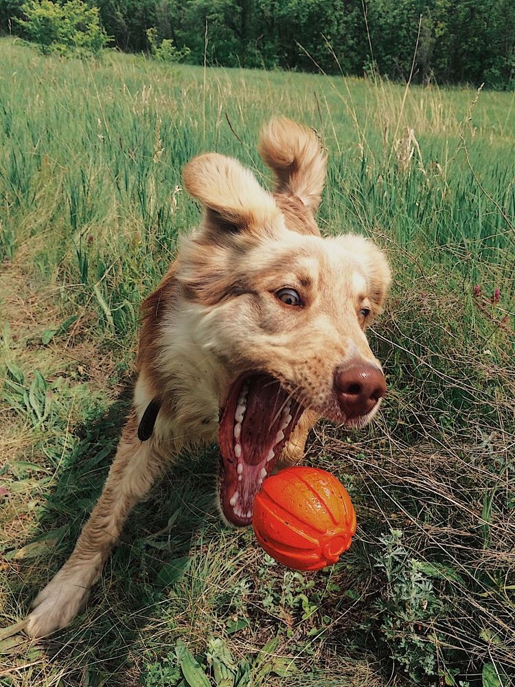 Филя в моменте