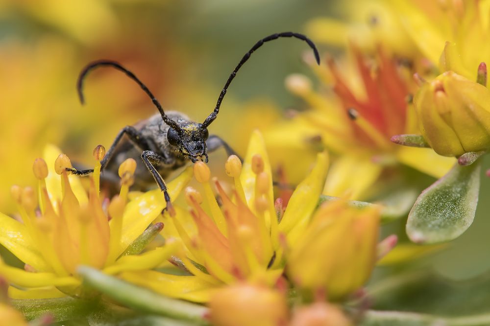 В райских кущах