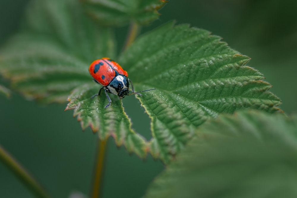 За завтраком