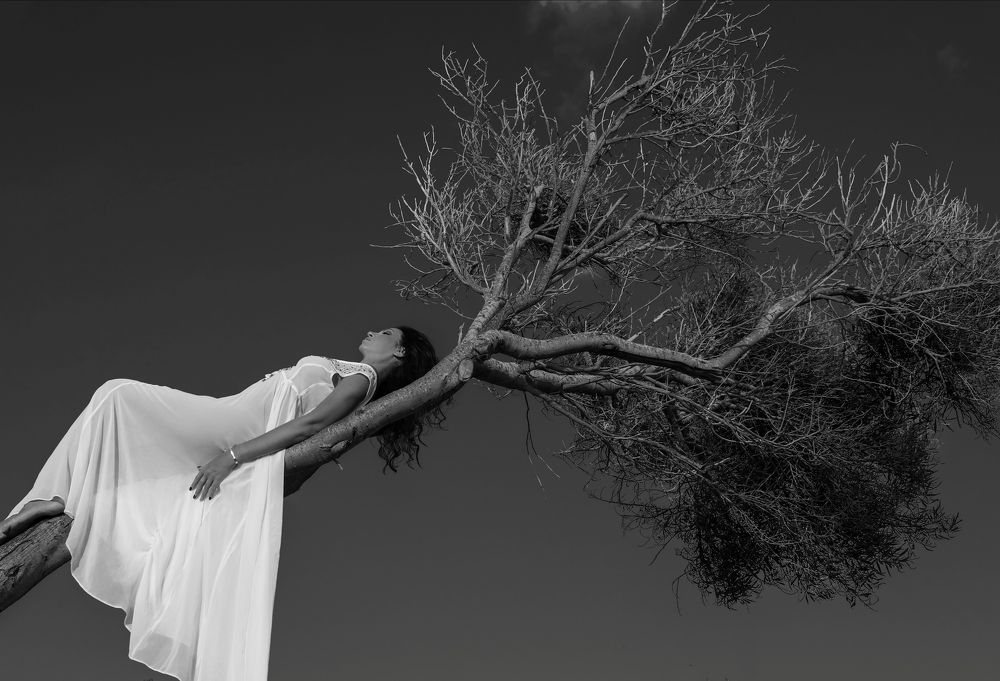 Relaxing on the tree....