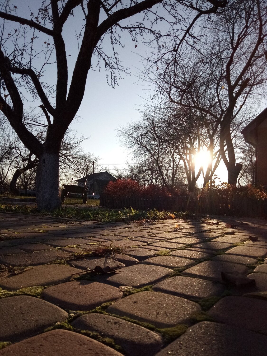 Шелест вечера