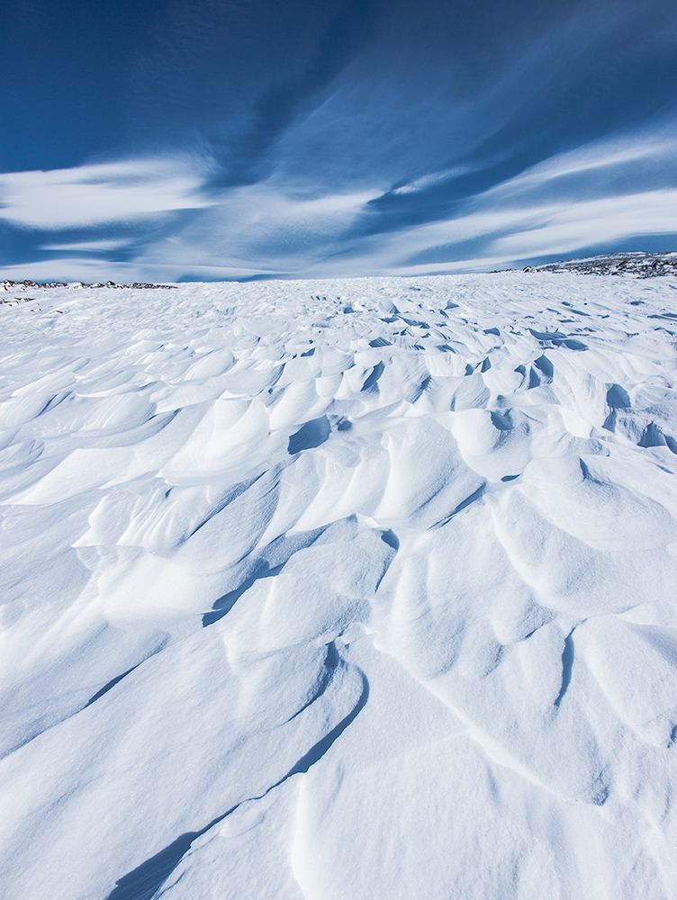 Холодная фактура