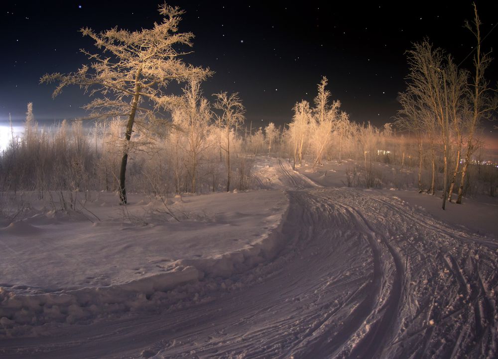 Зимняя история