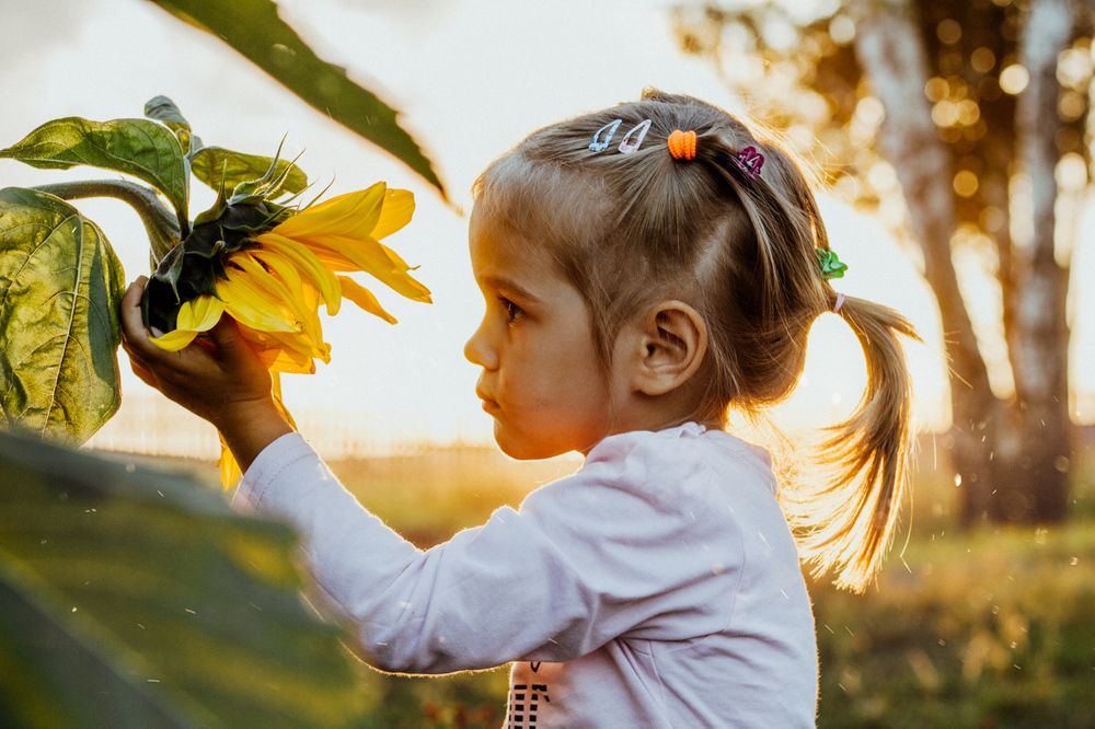 Солнечный круг, небо вокруг