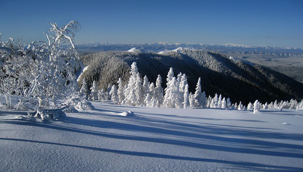 Обыкновенное чудо