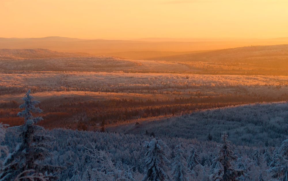 В долине света!