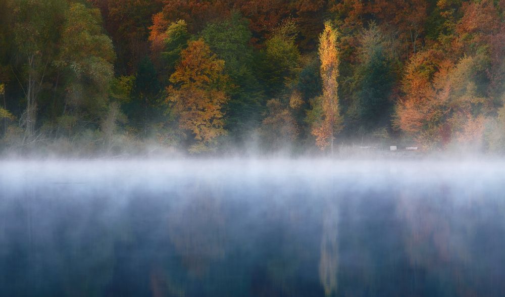 Photograph by Семенюк Василий