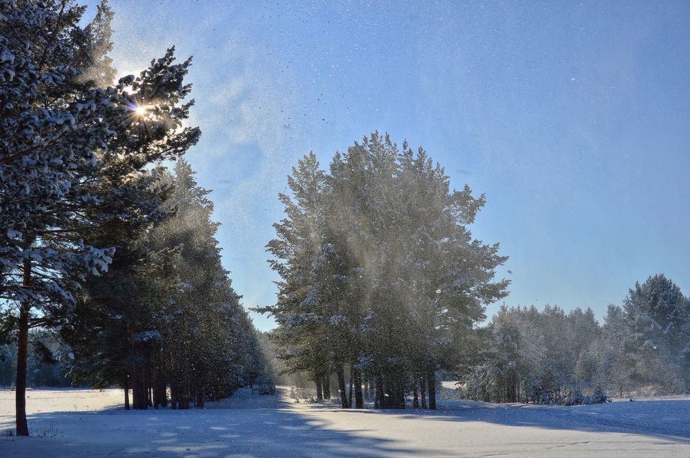 Threw a snowball at me