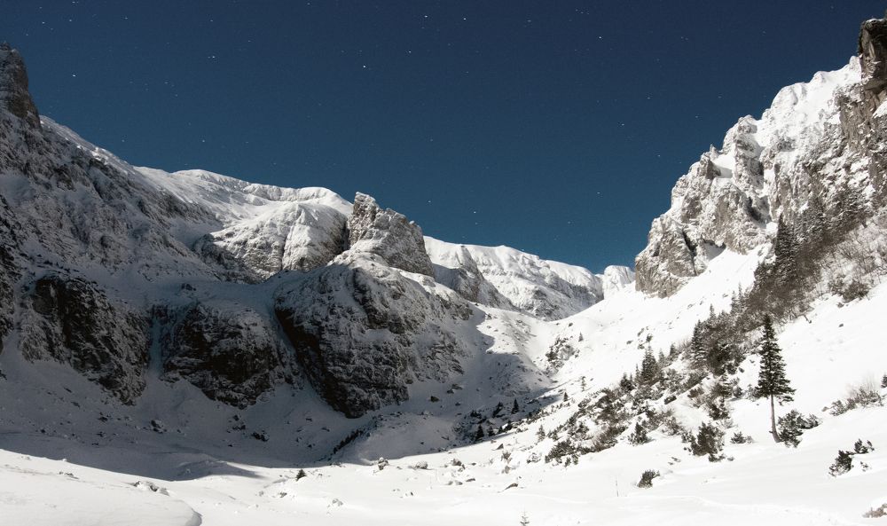 winter landscape under the moon light