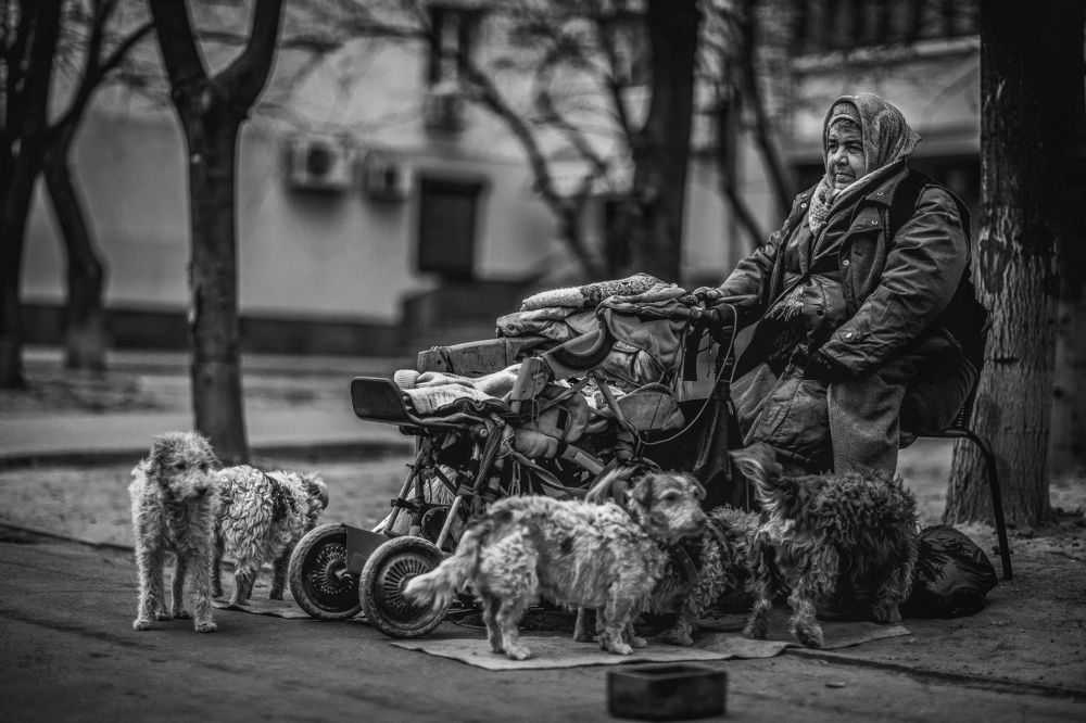 Животные и человек