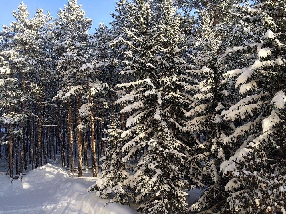 Photograph by Меруерт