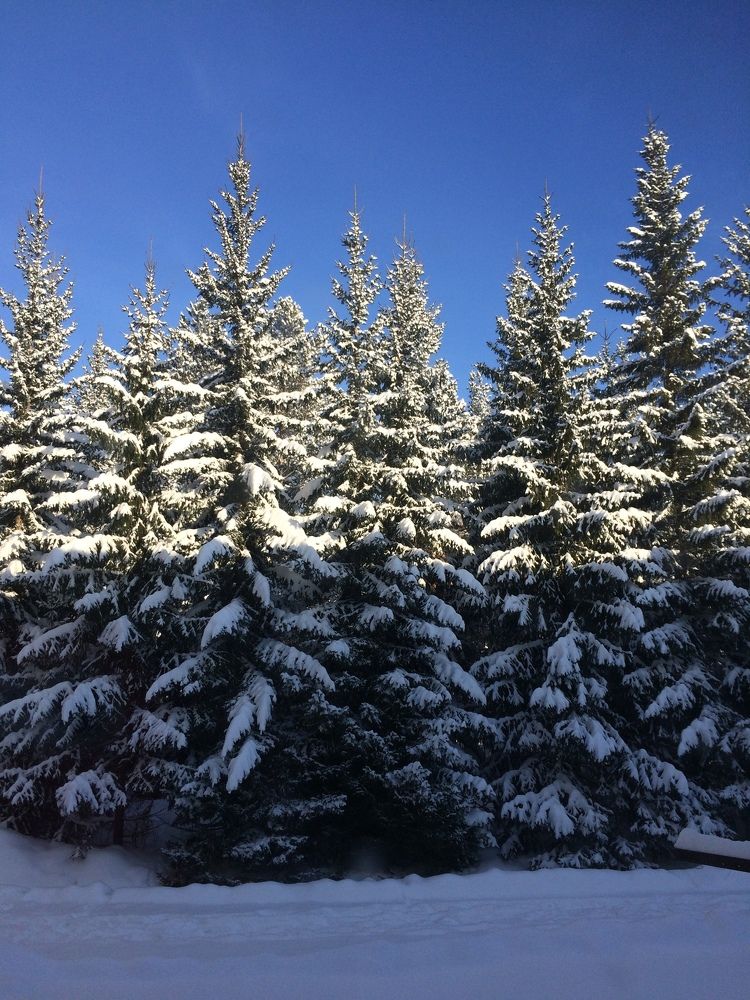 Photograph by Меруерт