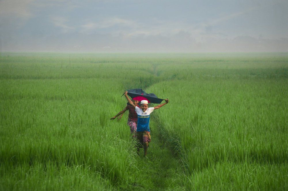 The festivities of victory