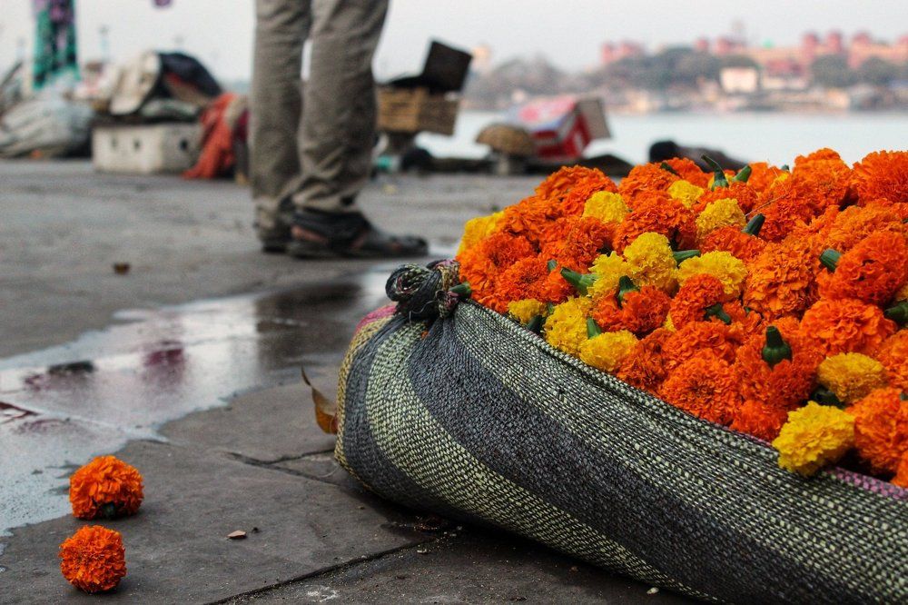 Flowers still life