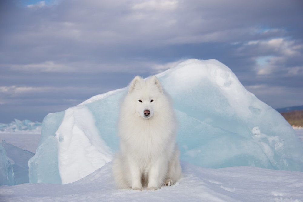 Зимний Байкал