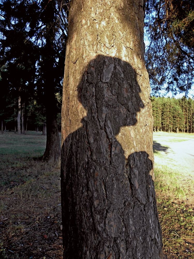 Тень моя тень...