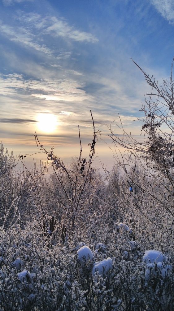 Морозный рассвет