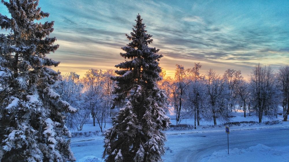 Зима за окном