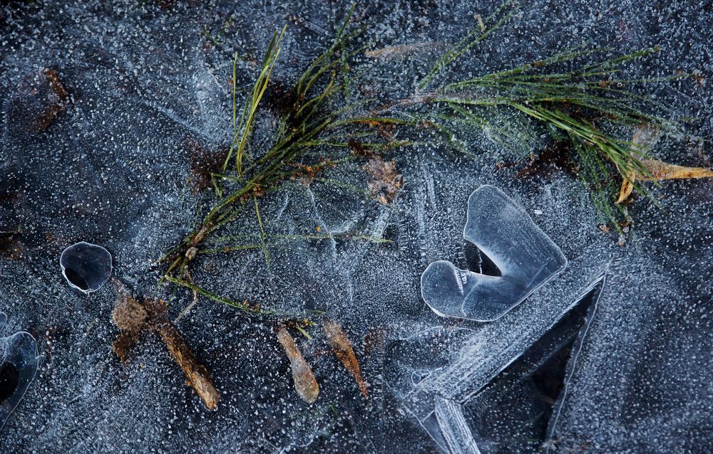 Ускользающая красота