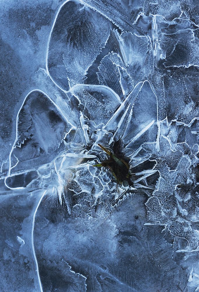 Ускользающая красота -1