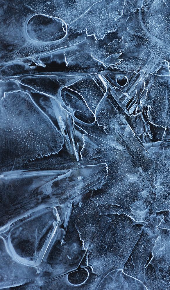 Ускользающая красота - 2