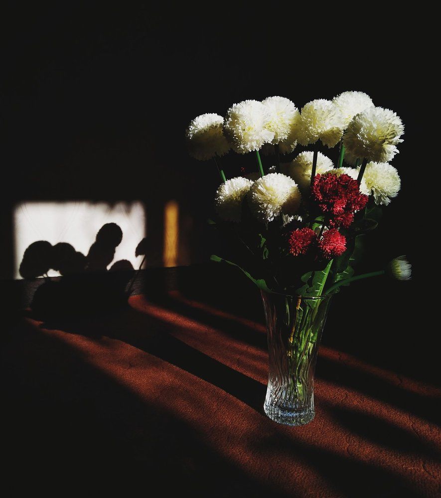 Photograph by Navid Matrian pour