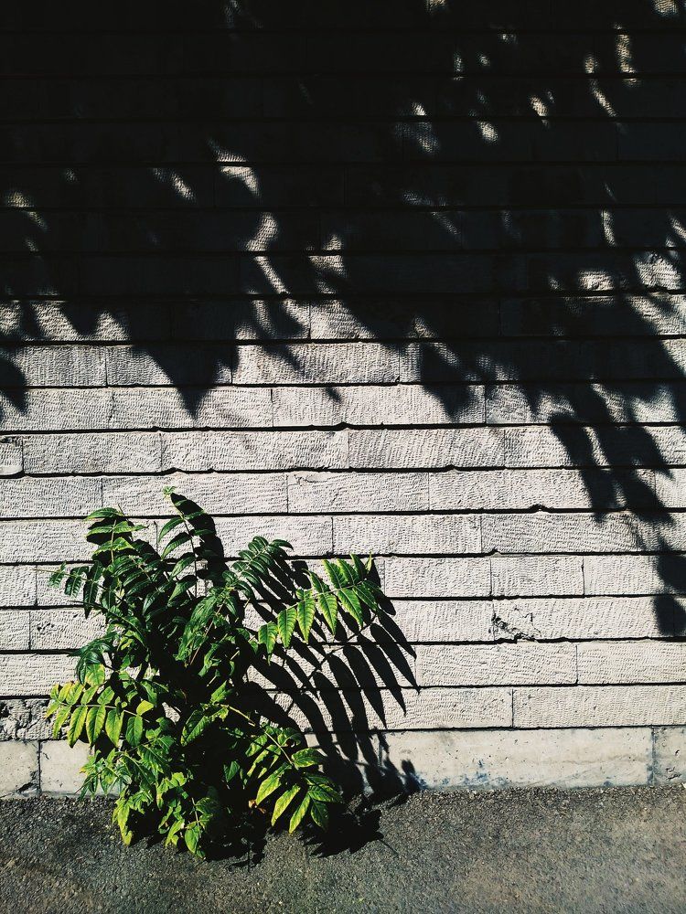 Photograph by Navid Matrian pour