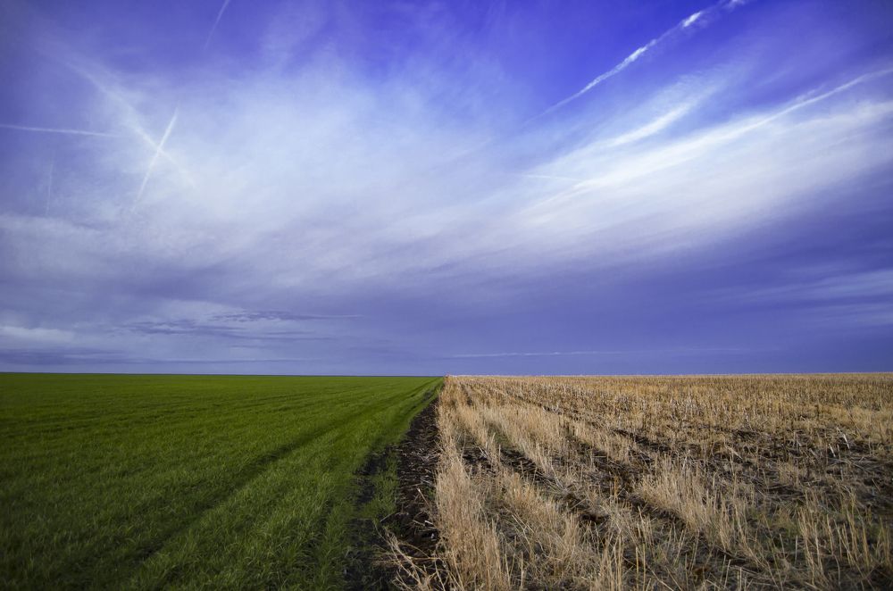 Границы осени